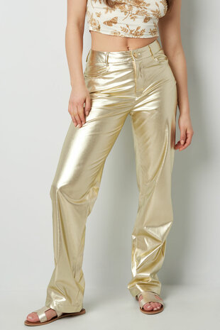 Broek metallic - Zilver mt L